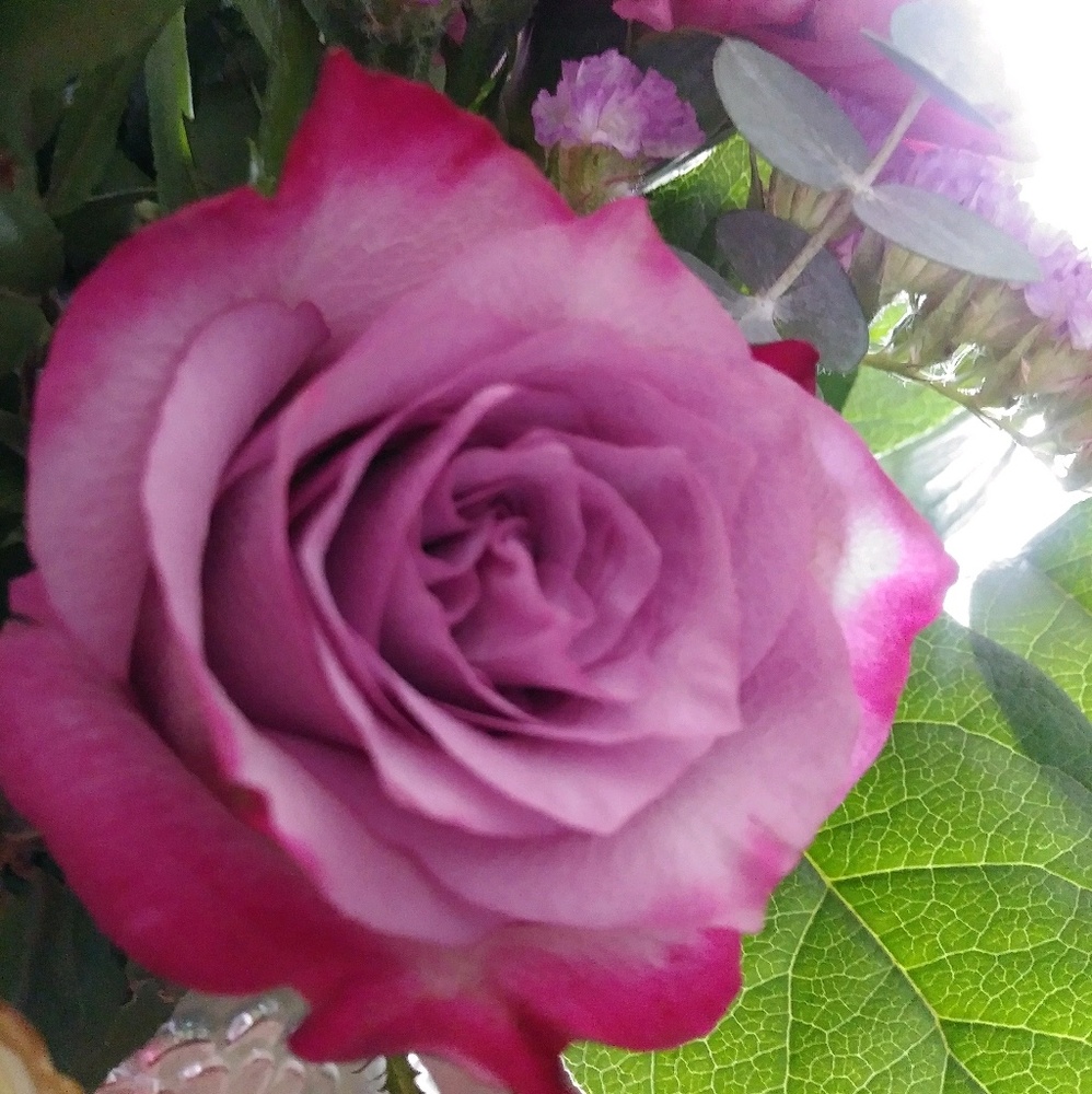 Meet your Posher, Na